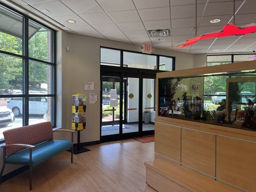 A waiting area with a blue bench, a gumball machine, and a large fish tank near a glass entryway.