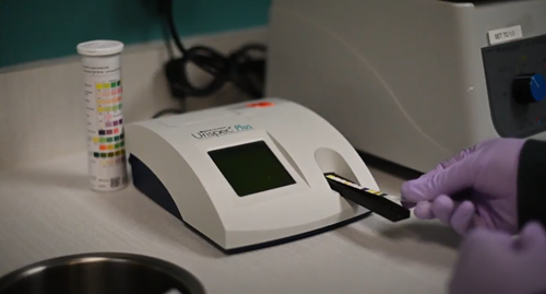 A gloved hand inserts a test strip into a urinalysis machine on a lab counter next to a container of test strips.