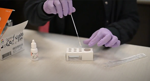 A person wearing purple gloves uses a swab to place a sample into a test kit stand on a table.