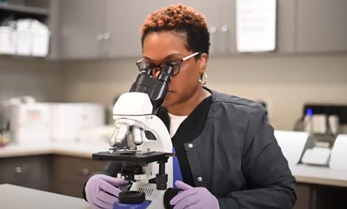 A person in a laboratory coat and purple gloves peers through a laboratory microscope in a clinical setting.