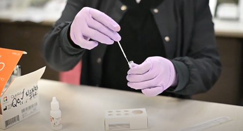 A person wearing purple gloves places a test swab into a small vial on a table with a testing kit.