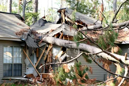 A house that has been damaged by a tree falling on it.