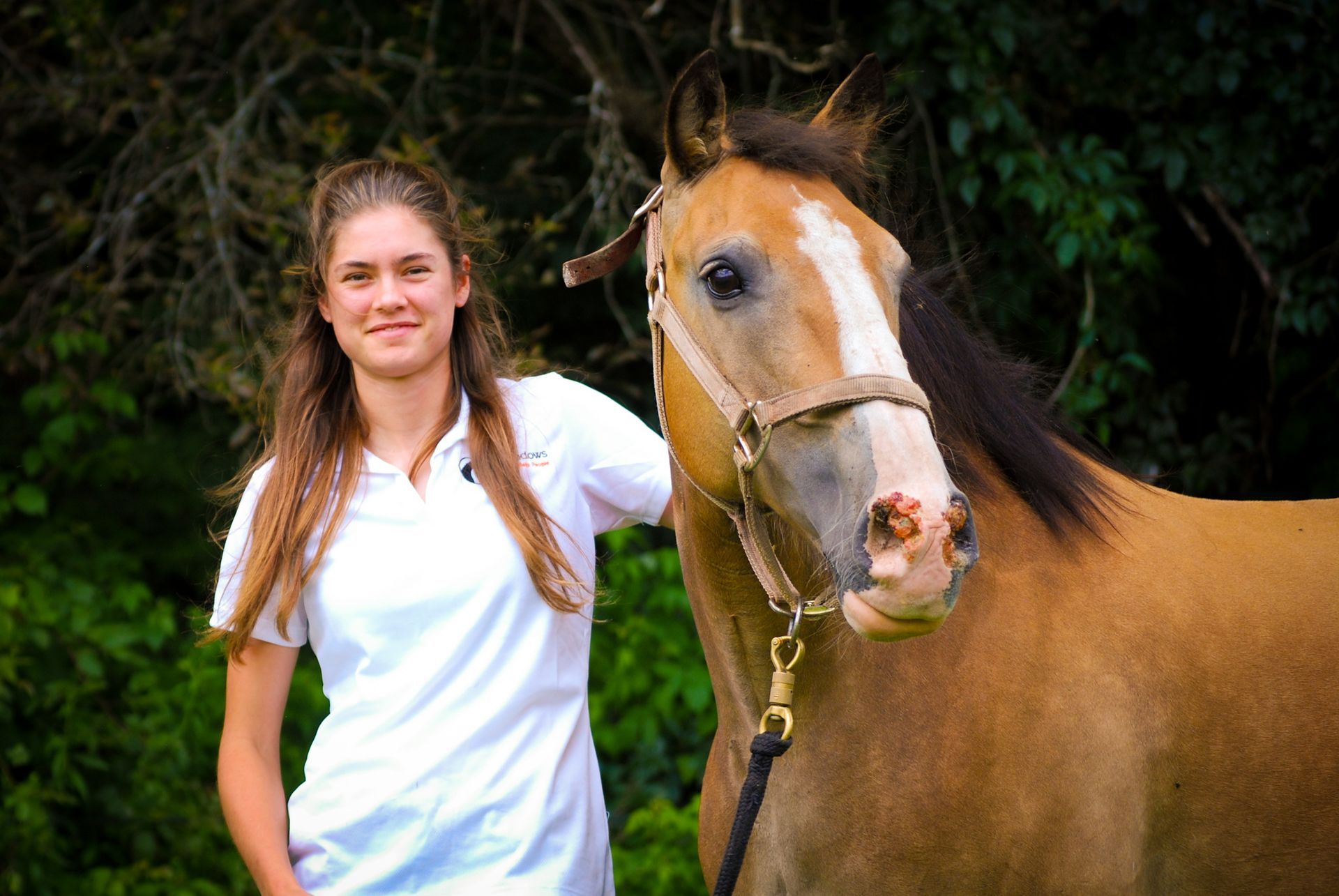 horse rescue cambridge new york