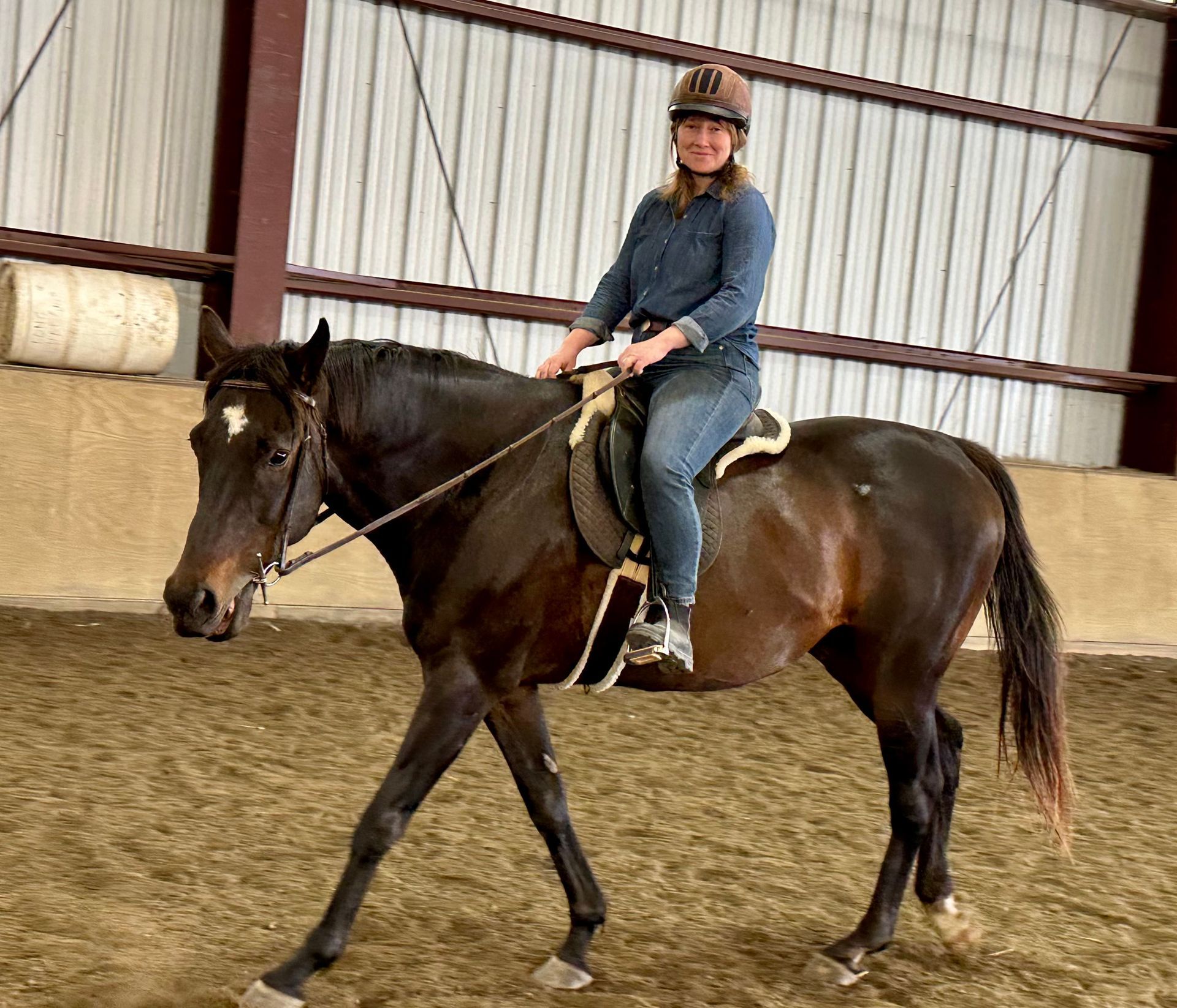 long shadows horse rescue cambridge new york