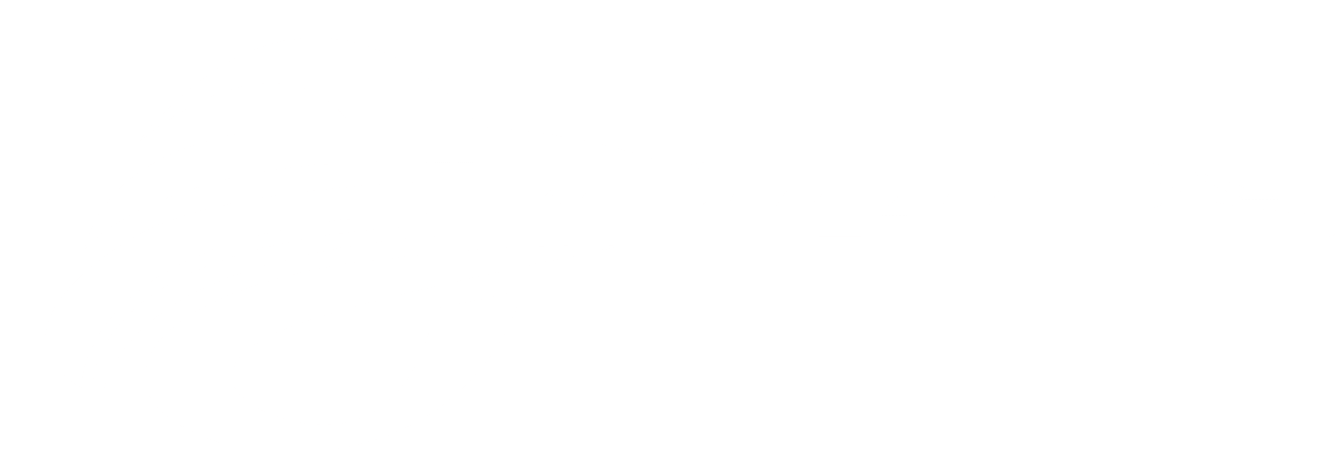 station auto wash logo