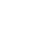 White square on a black background, resembling a simple icon or blank image.