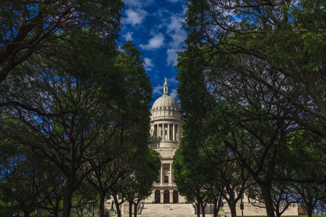Historic domed building framed by trees under a bright blue sky