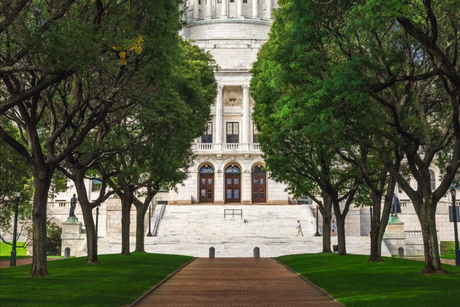 Tree-lined path leading to a white domed building with steps and columns at the end
