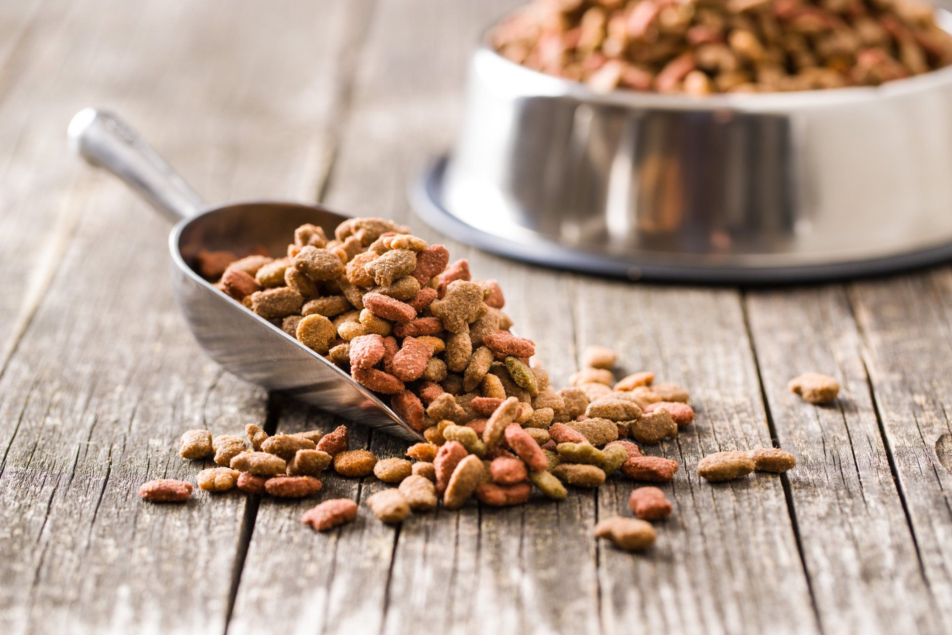 Dog food kibble spilling from scoop onto wooden table near a stainless steel bowl.