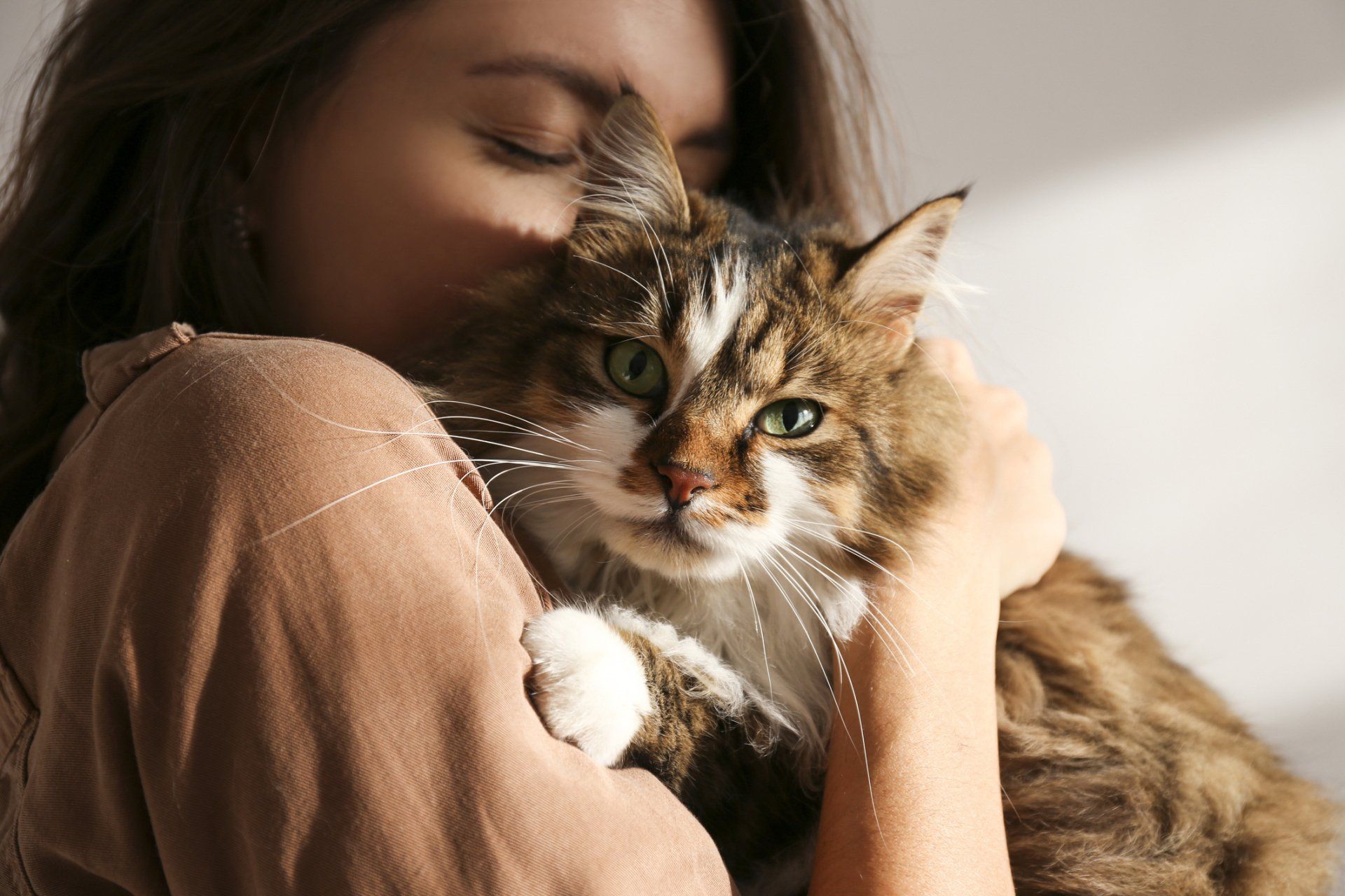 A Happy Pet Owner — Madison, WI — Noah's Ark Pet Center Woman hugging a fluffy tabby cat; both are indoors, lit by sunlight.