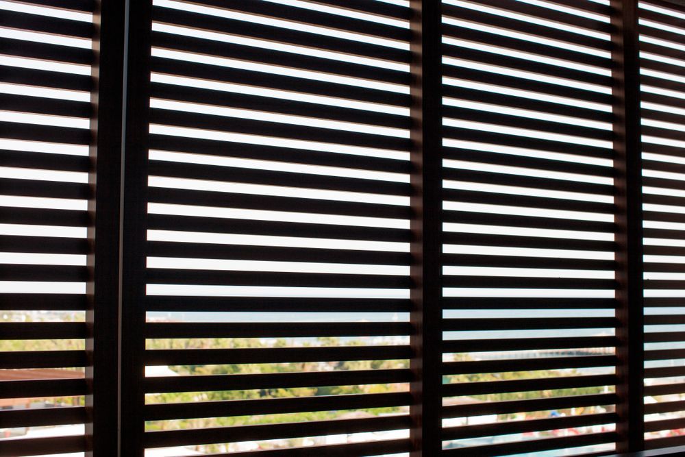 View Through Black Window Blinds With Sunlight and Trees Visible Outside — Another Blind Man in Coolum, QLD