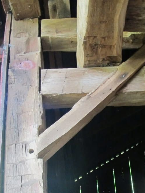 Timber beams showcasing ray fleck patterns in sunlight.