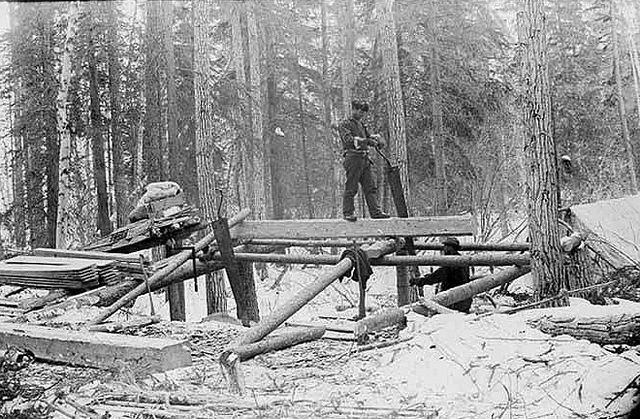 Loggers working on timber structure showcasing heritage craftsmanship.