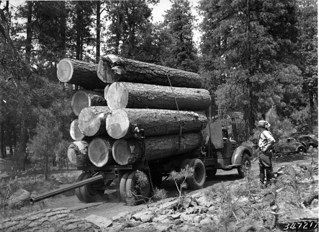 Black and white photo of a log-loaded truck in a US logging forest scene.