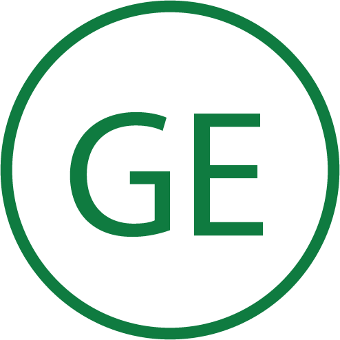 Schriftzug GE Icon