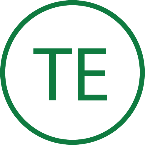 Schriftzug TE Icon