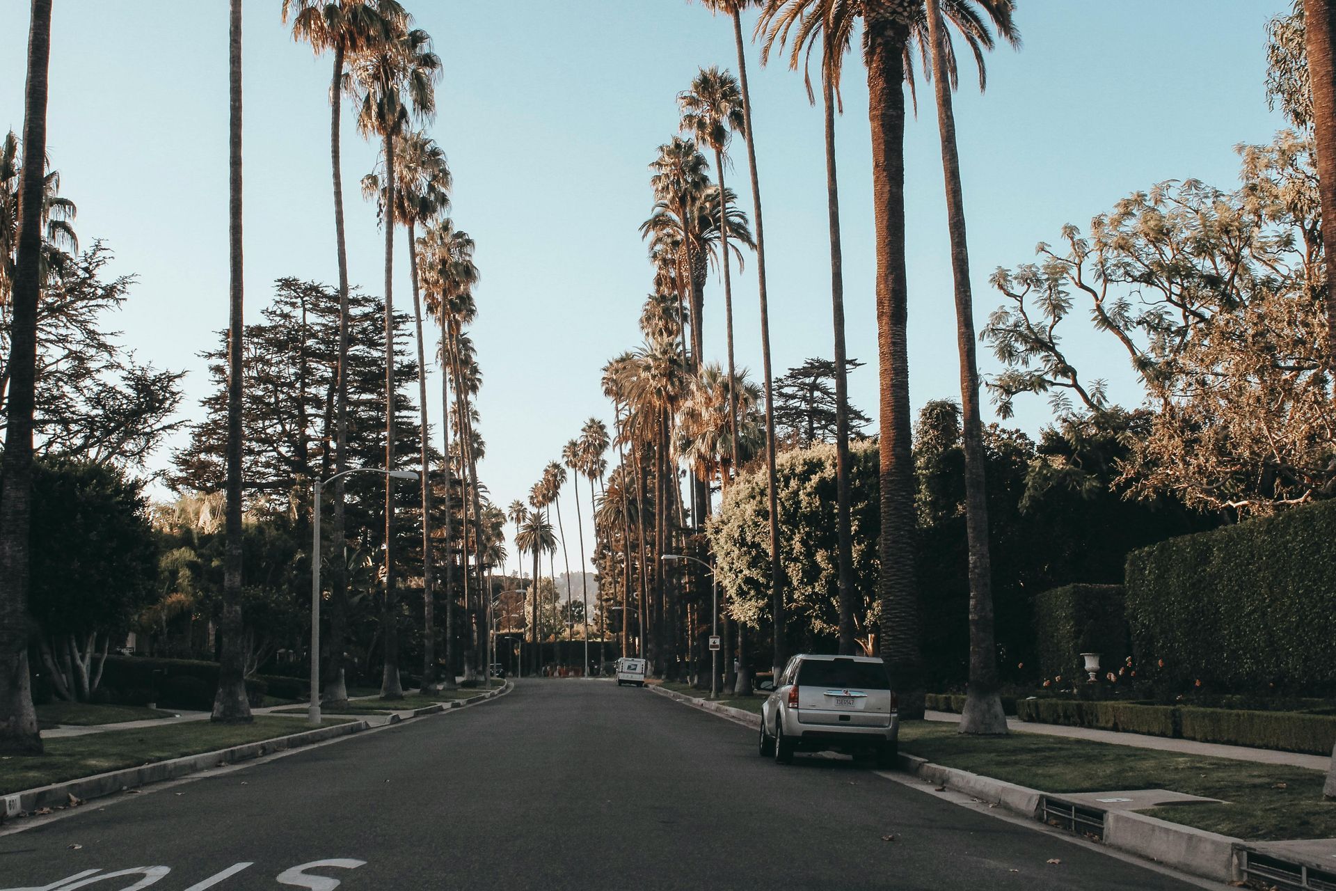A tree-lined residential street in Los Angeles with palm trees, a car parked, and a clear blue sky.