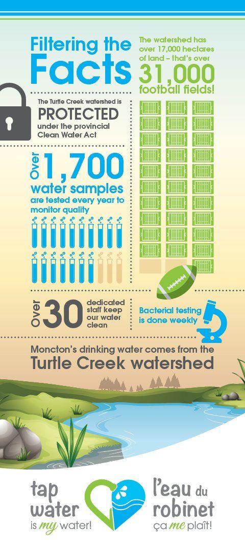 Infographic5