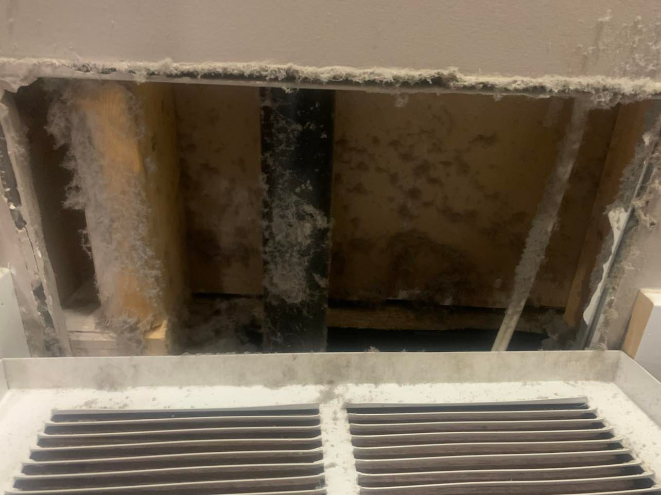 Furnace Cleaners in Edm Duct cleaning Residential & Commercial