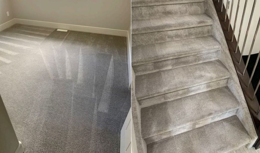 best carpet cleaners edmonton