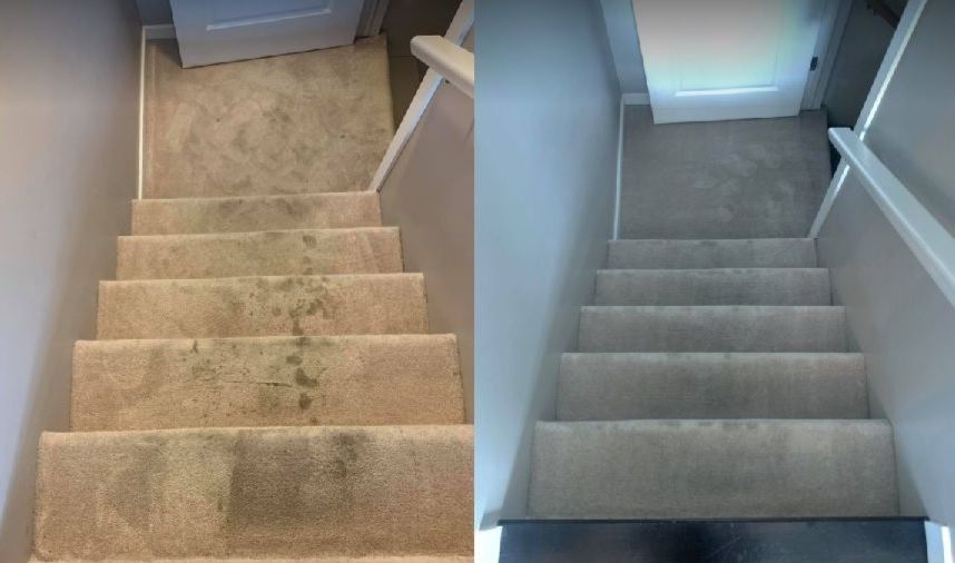 cheap carpet cleaning edmonton