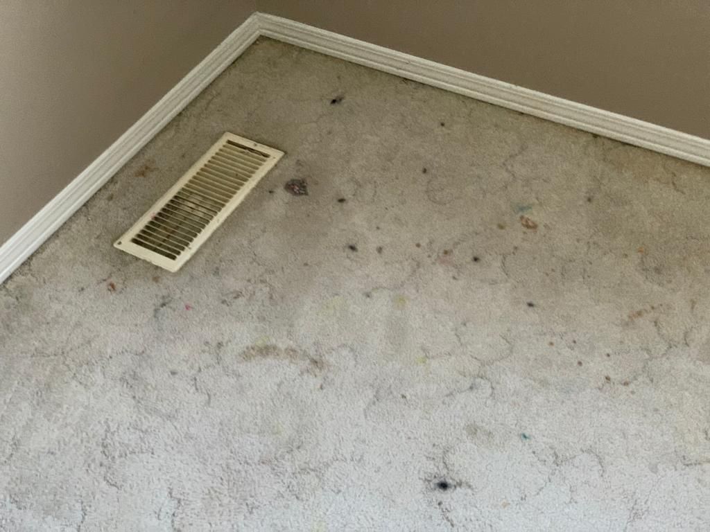 carpet cleaning company