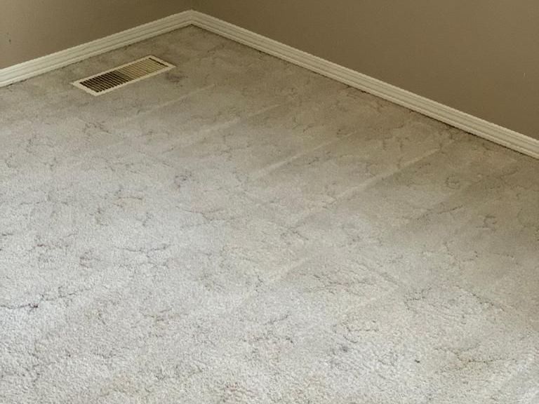 best carpet cleaning services