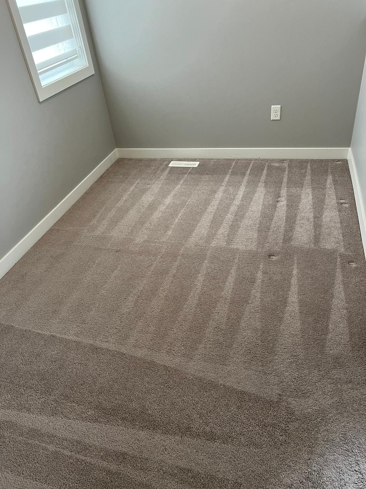 cheap steam cleaning edmonton