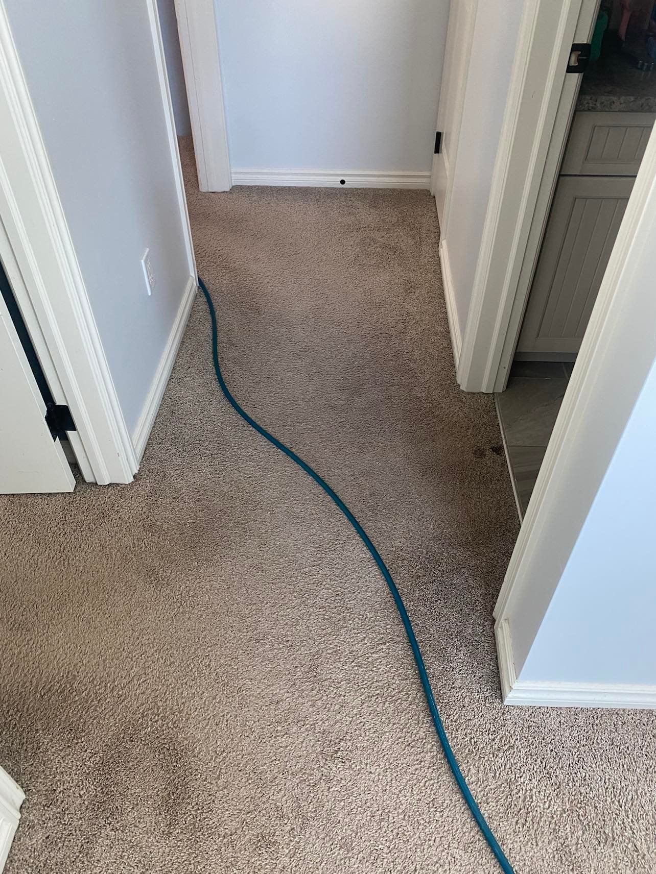 carpet steam cleaning near me