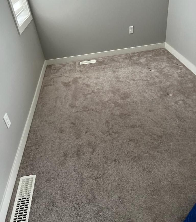carpet steam cleaning near me