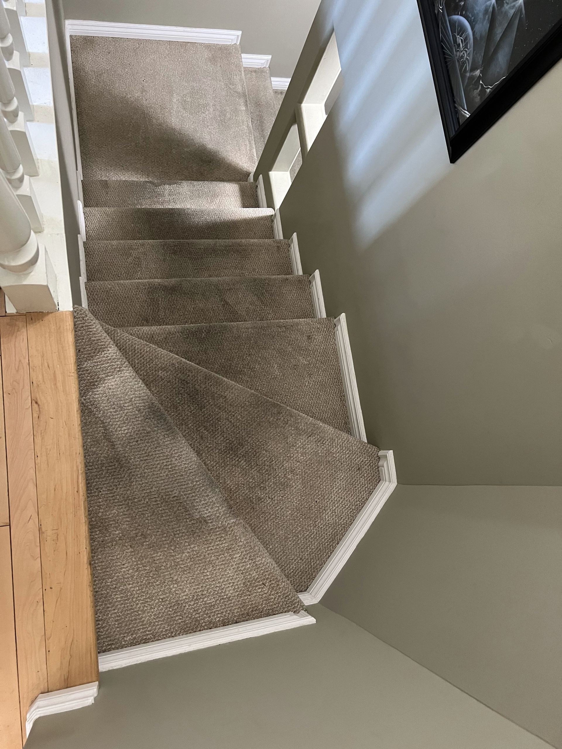 best steam cleaning company edmonton