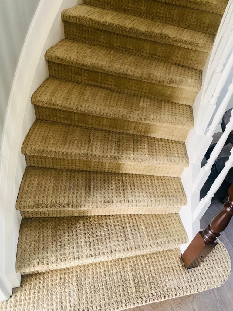 cheap carpet cleaning edmonton