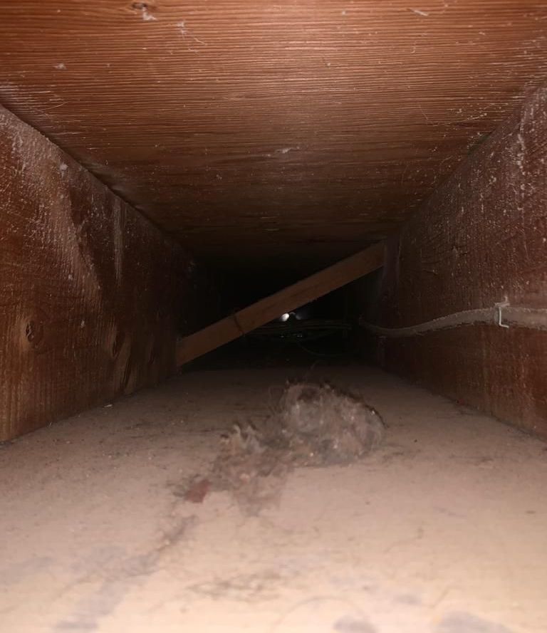 cheap furnace cleaning near me