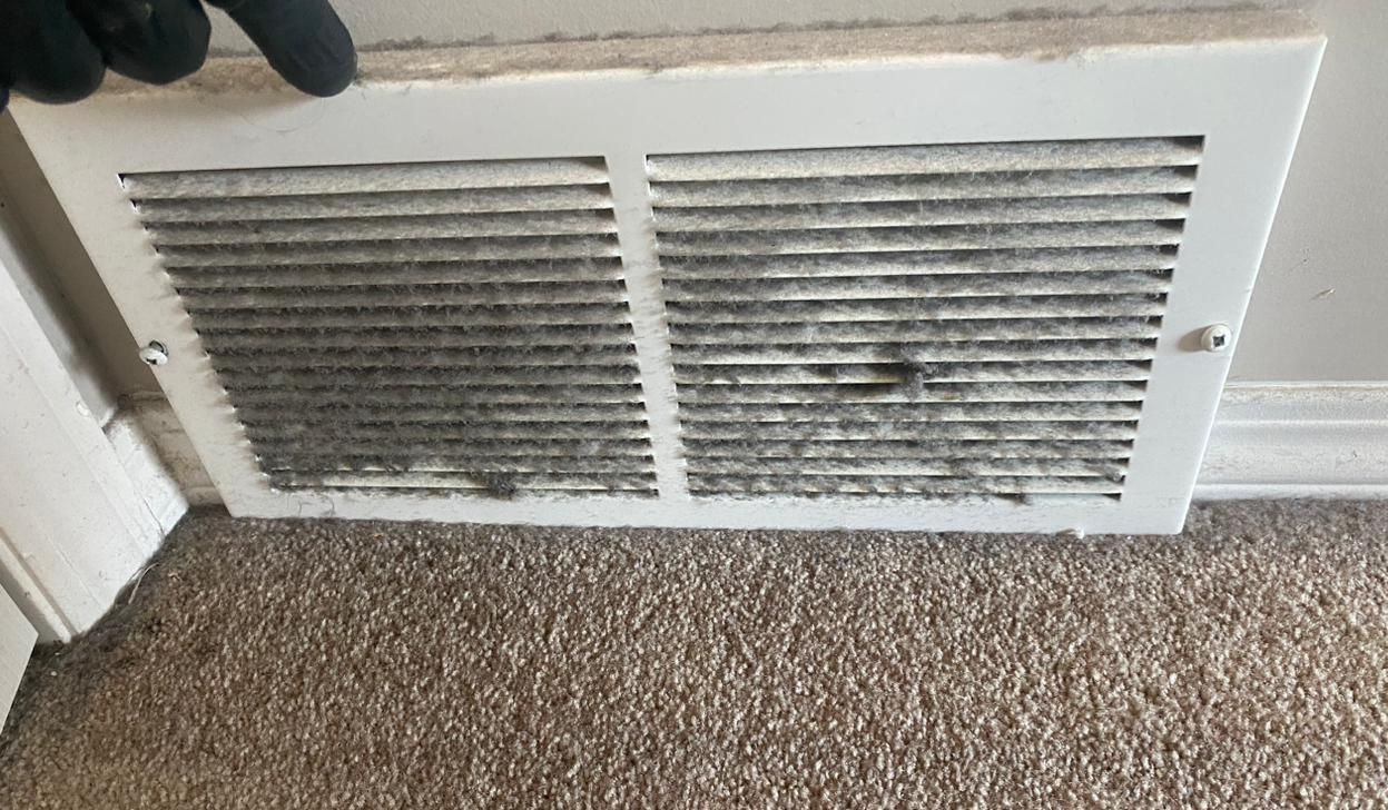 edmontons best duct cleaners