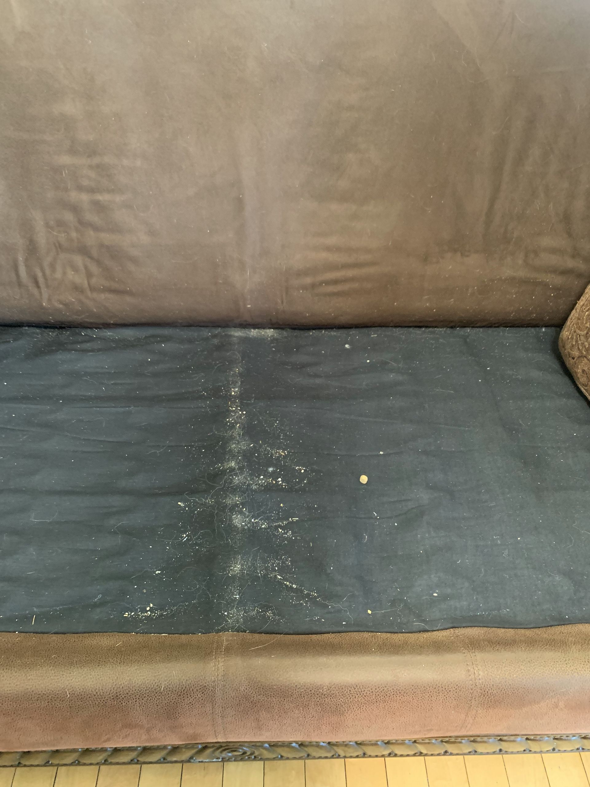 edmonton furnace and carpet cleaning services