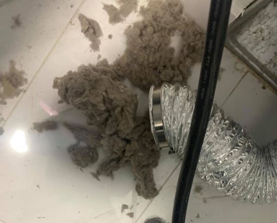 Edmonton's best Dryer Vent Cleaning company