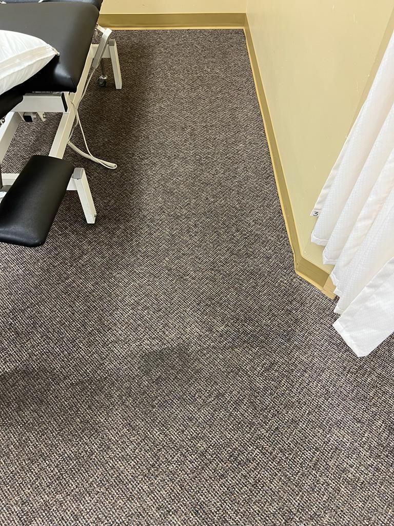 best steam cleaning company edmonton ab