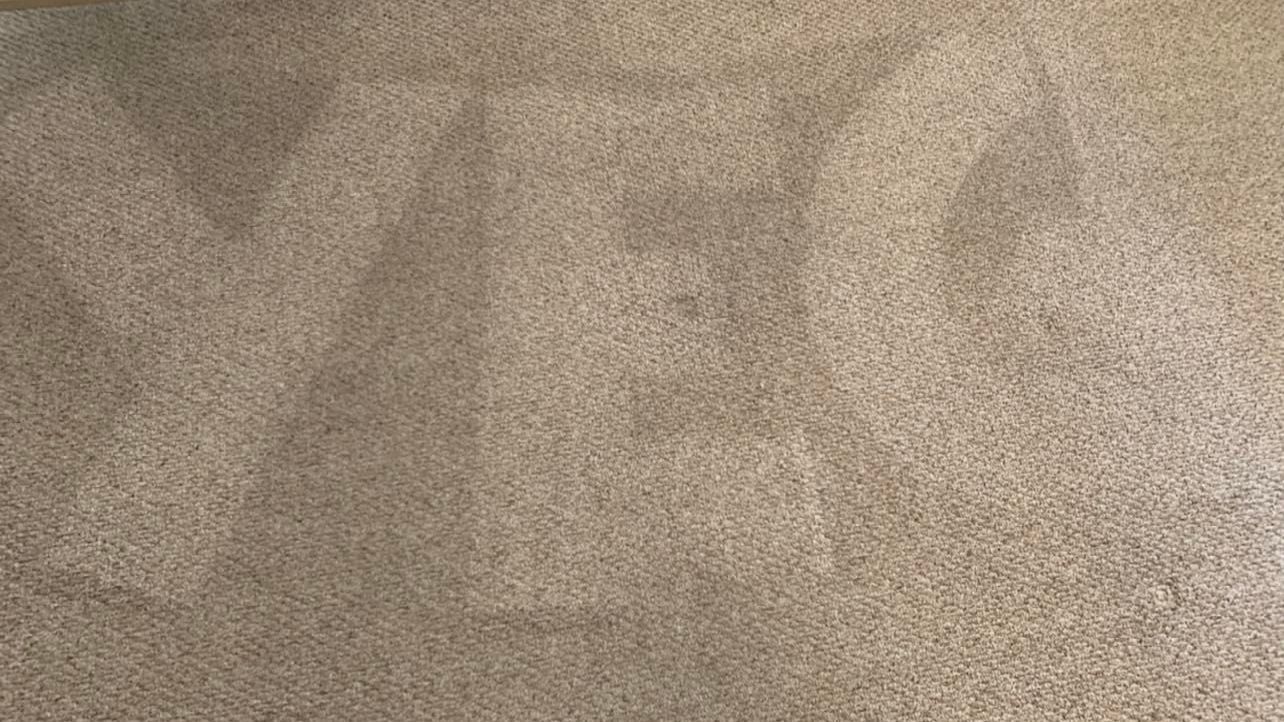 cheap carpet cleaning edmonton
