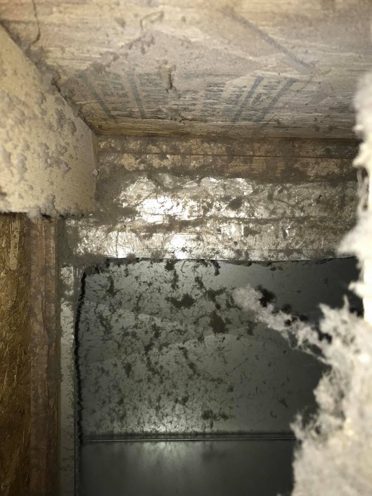 best duct cleaning company beaumont ab