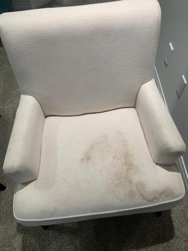 best steam cleaning company edmonton