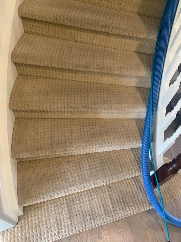 carpet steam cleaning near me