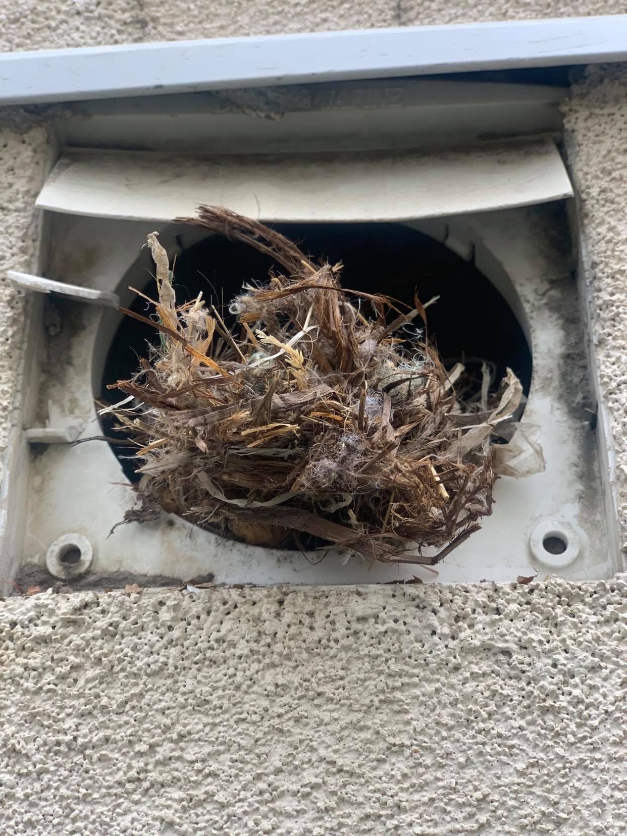 Edmonton Furnace & Carpet Care Best Carpet & Furnace Cleaners in EDM