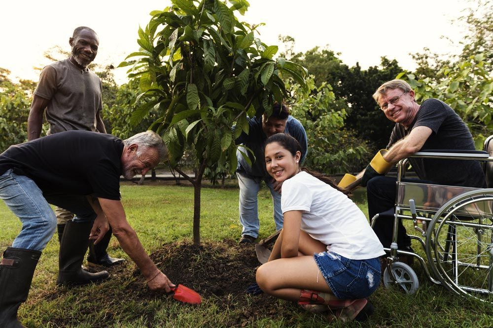 Group of Diverse People Planting Tree Together — Comfort N Care Support QLD Pty Ltd In Toowoomba City, QLD