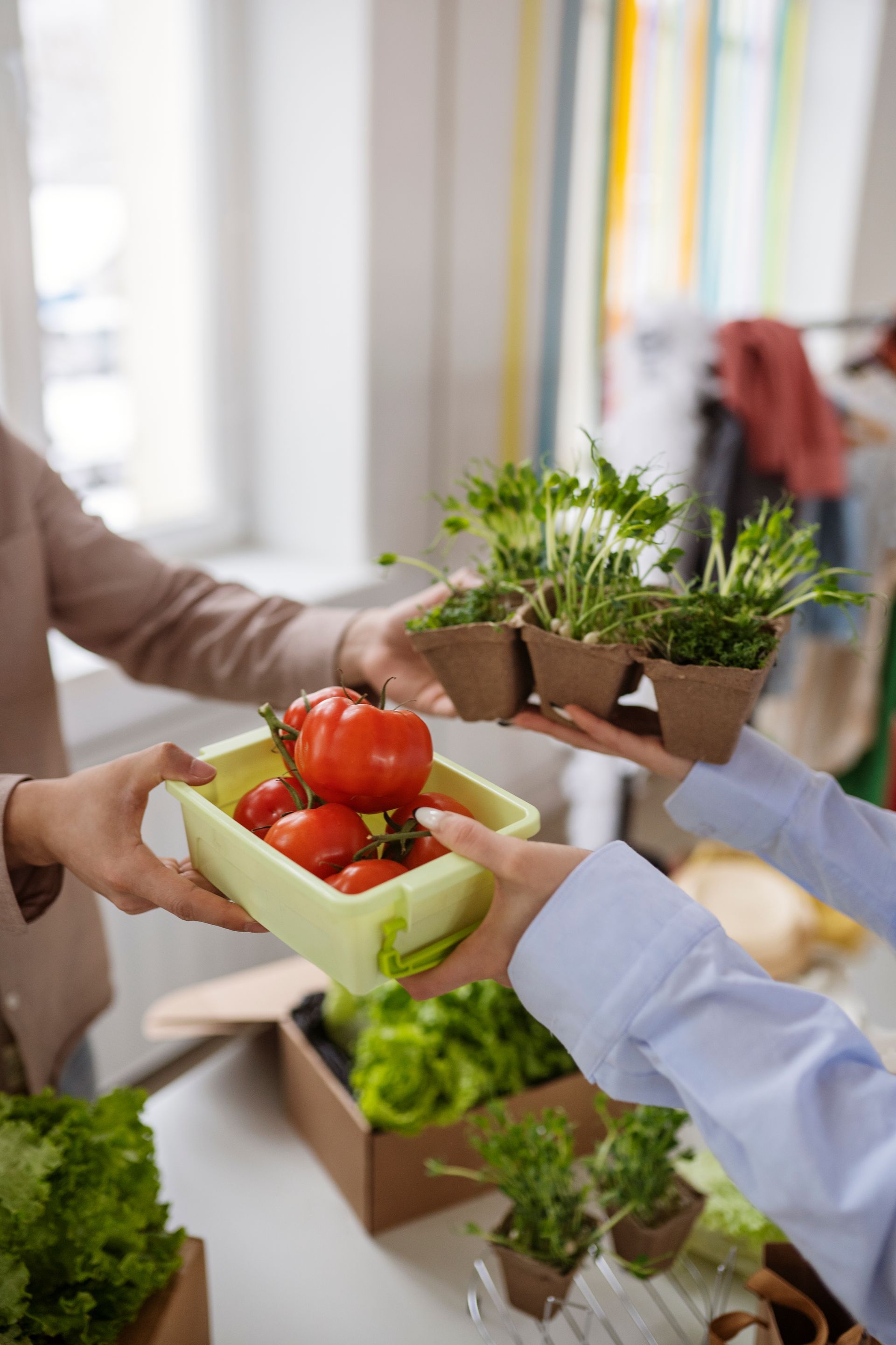 Sustainability in Food Distribution – Food Wholesalers & Suppliers in Quebec