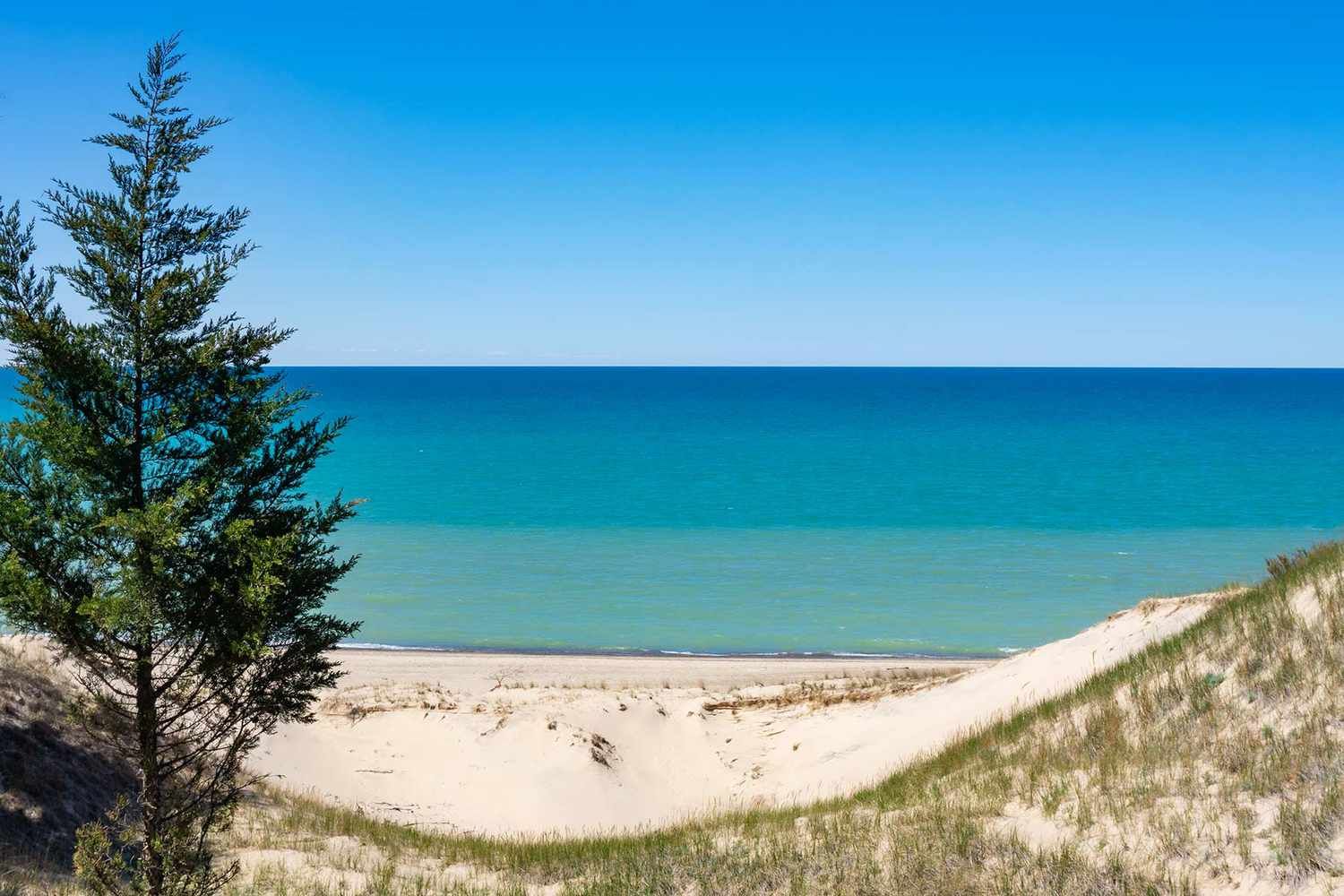 Sandy beach with turquoise water, grassy dunes, and a lone tree under a clear blue sky.