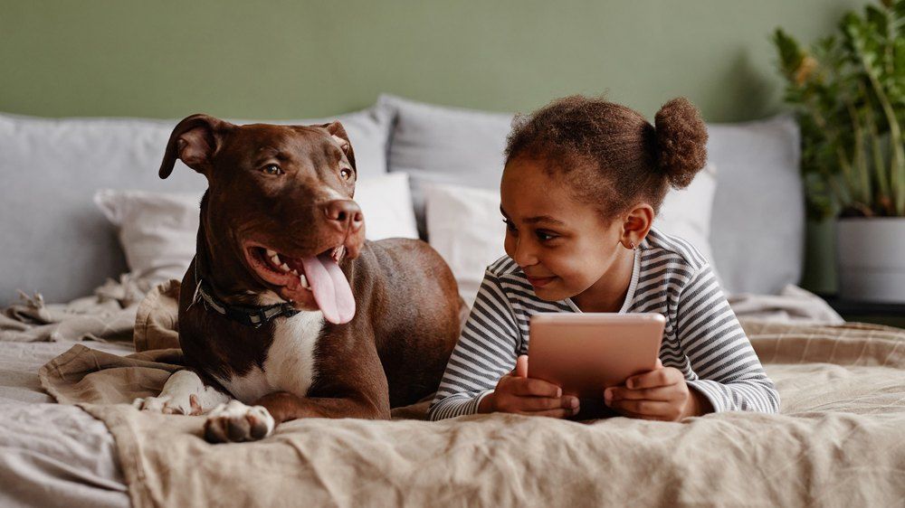 A photo of a little girl and a dog on a bed with a plant in the background
