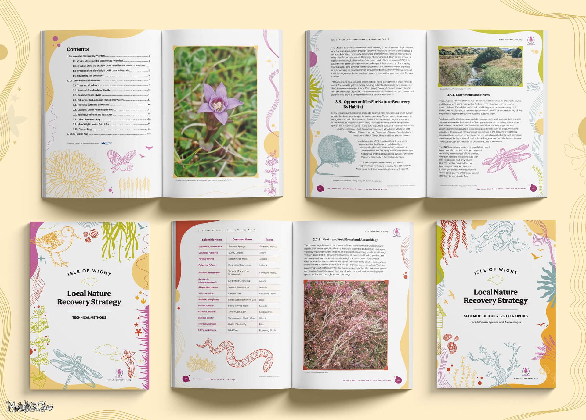 Isle of Wight Local Nature Recovery Strategy publications, displaying open books showing the inside designs of the books, with front covers alongside, with a pastel yellow background. There's an illustration of a barn owl, adder, dragonfly, water vole, and other endangered species. Designed and illustrated by MooksGoo
