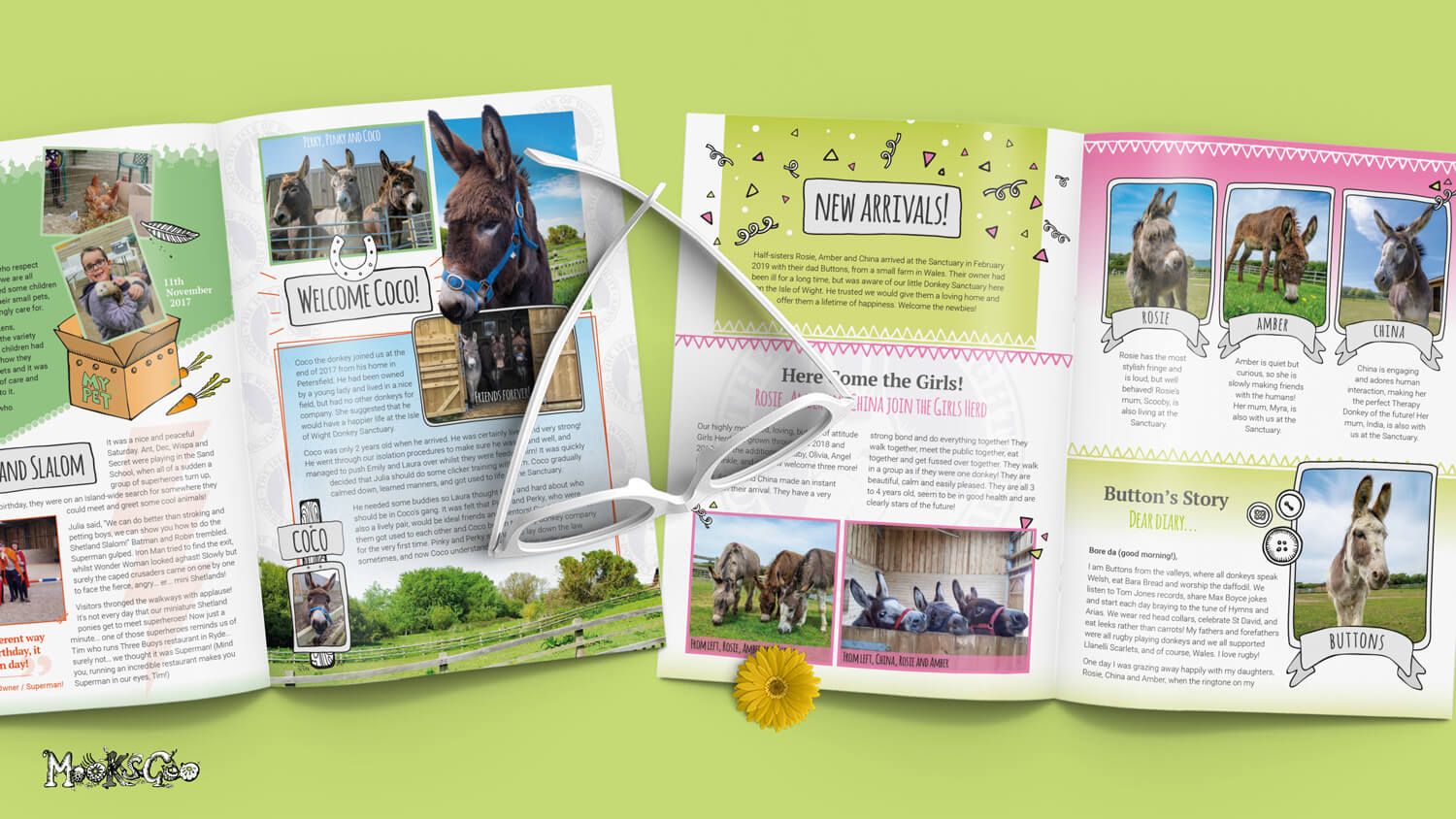 Awesome, fun and unique modern magazine brochure layout created by graphic designer and illustrator MooksGoo
