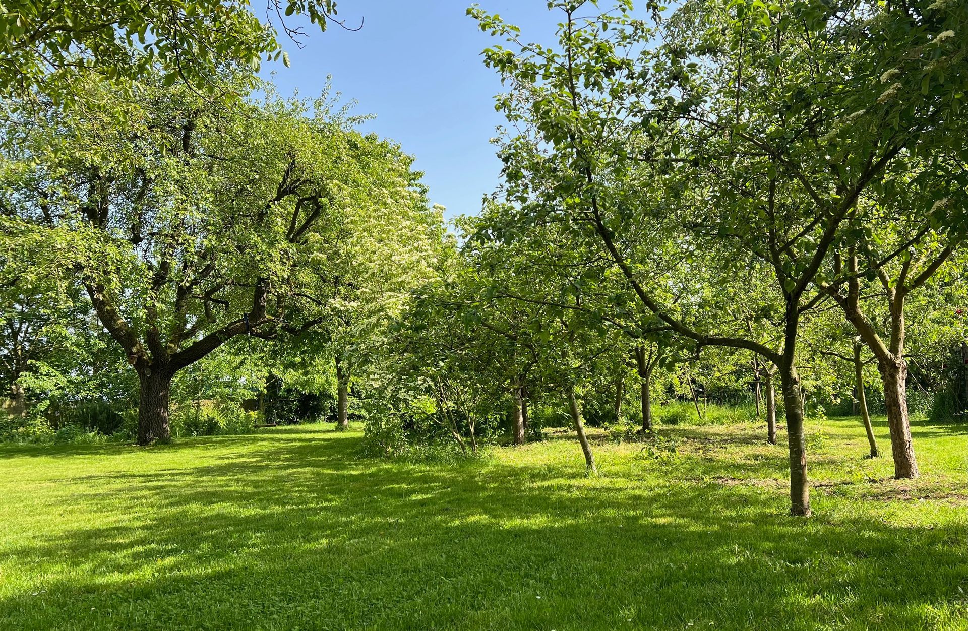 tuin