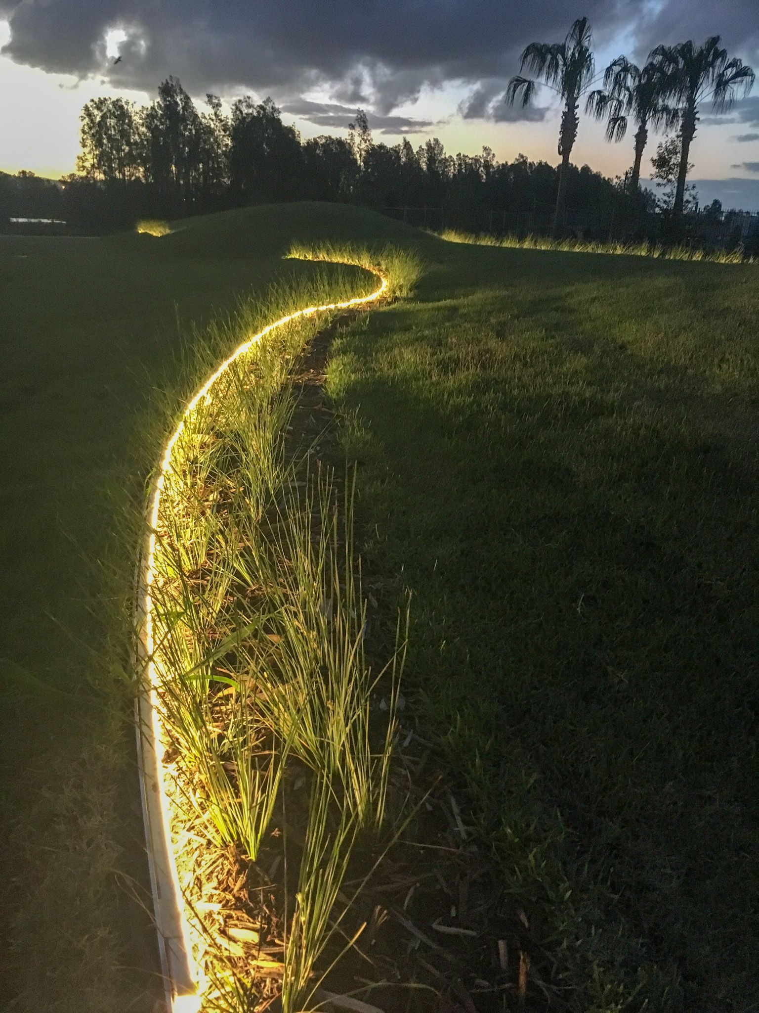 Halcyon Greens16